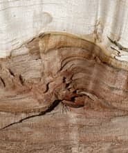 Lebenslinien - Copyright by eska|art (Sebastian Keitel)