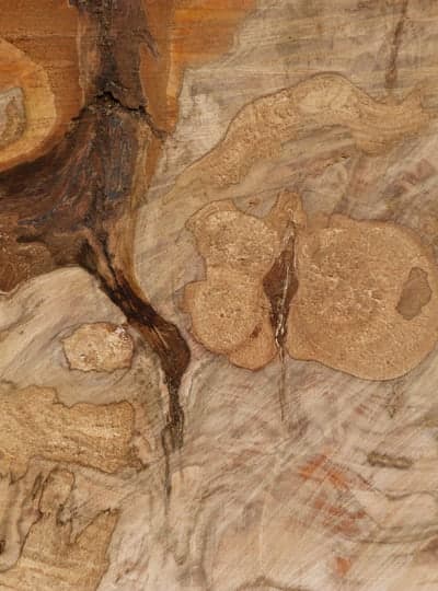 Lebenslinien - Fotografien von Sebastian Keitel